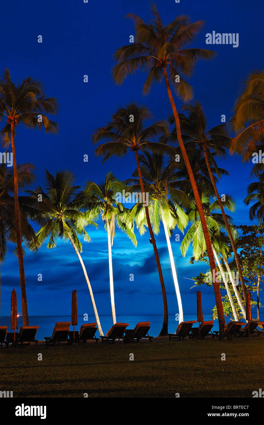 Tropical island palms beach chair hi-res stock photography and images ...