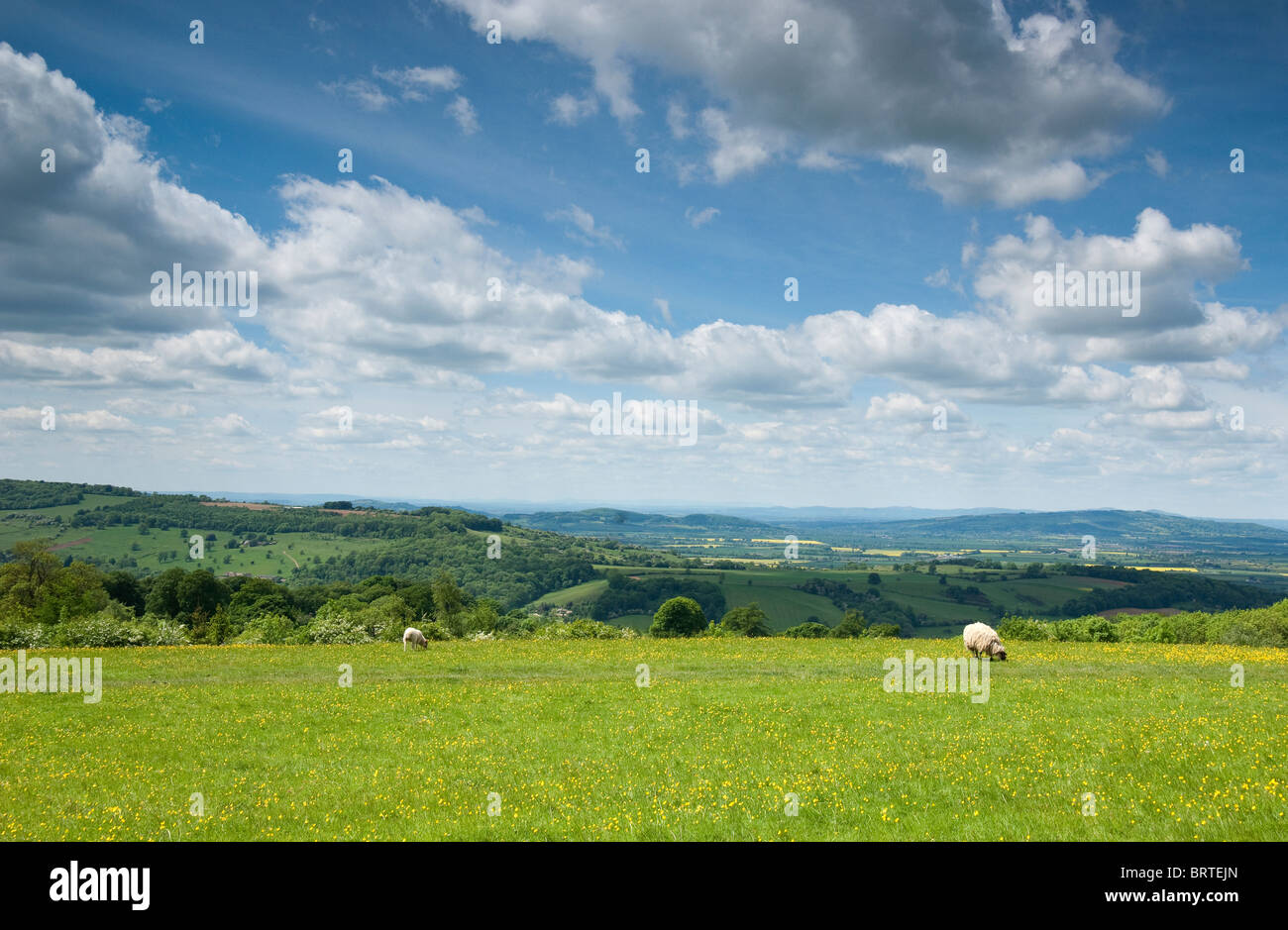 Rolling hills of Worcestershire, England, UK Stock Photo