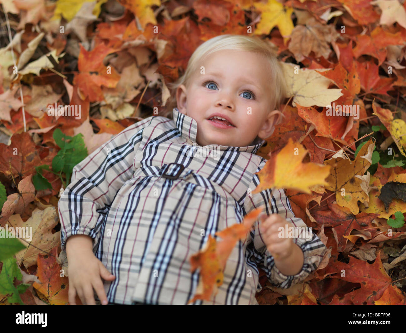 Two year old girl lying on fallen tree leaves in autumn nature Stock Photo