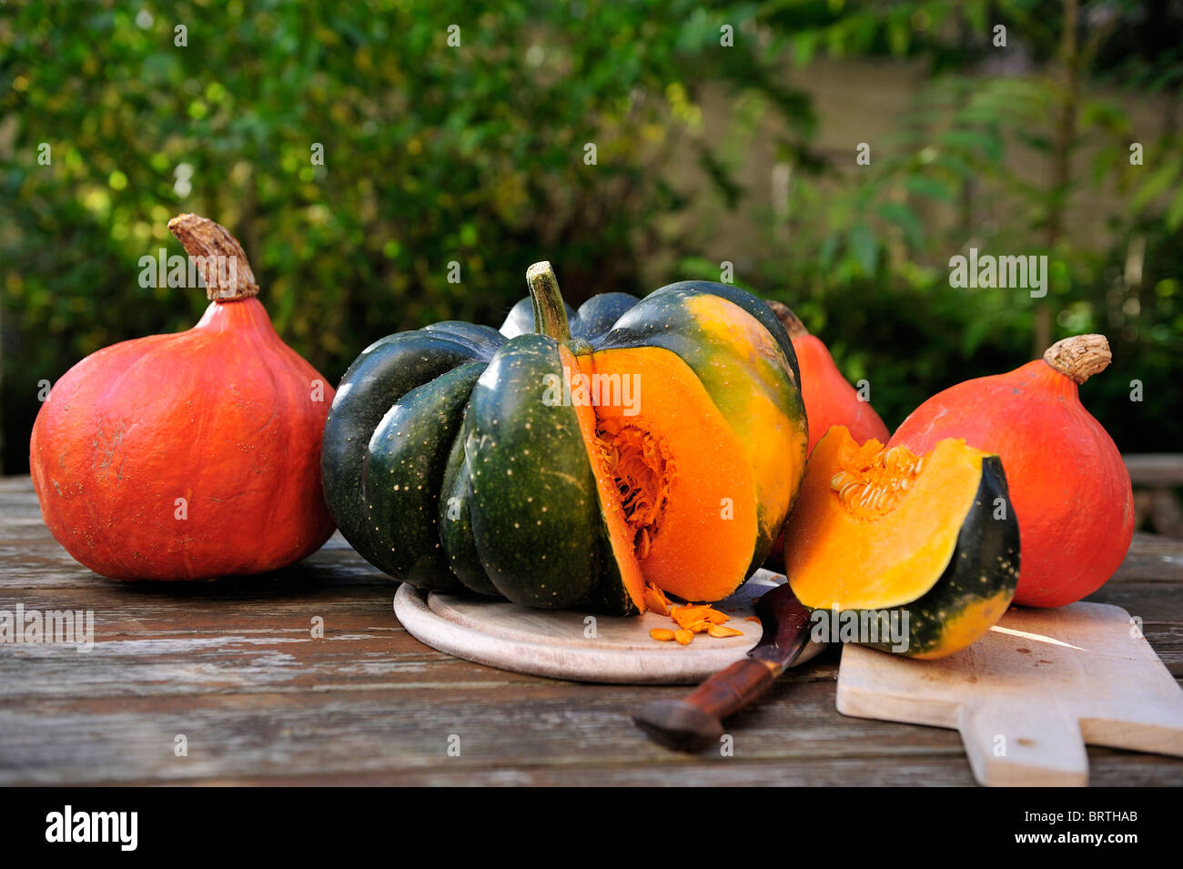 Cut of green Acorn squash and orange Hokkaido pumpkins on a wooden board Stock Photo