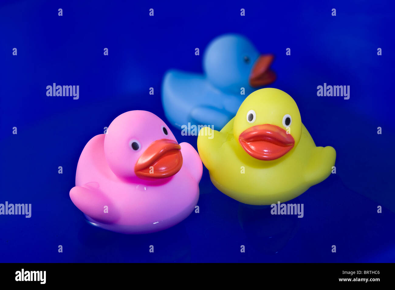 Three rubber ducks Stock Photo Alamy