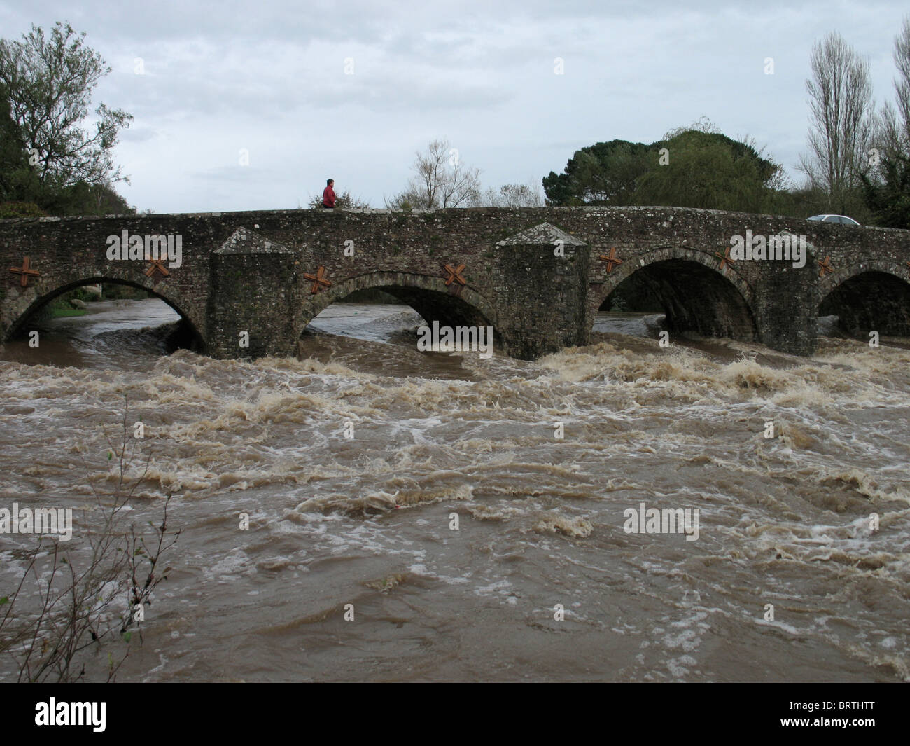Bickleigh  bridge river exe Devon uk floods flooding severe  fast flowing raging torrent Stock Photo