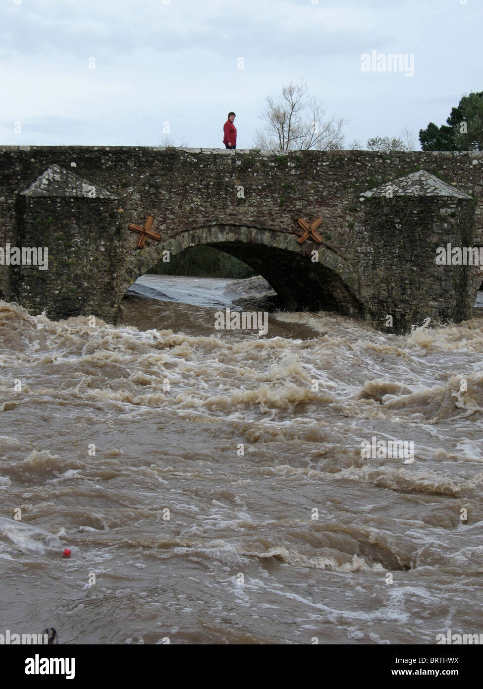 Bickleigh  bridge river exe Devon uk floods flooding severe  fast flowing raging torrent Stock Photo