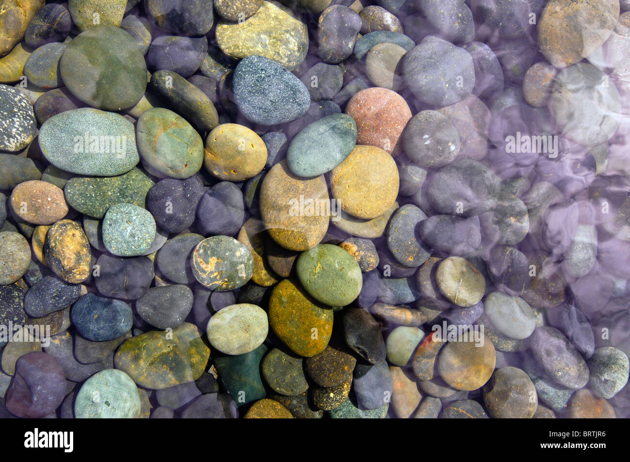 Stones in water at the National Arboretum, Washington DC, USA Stock ...