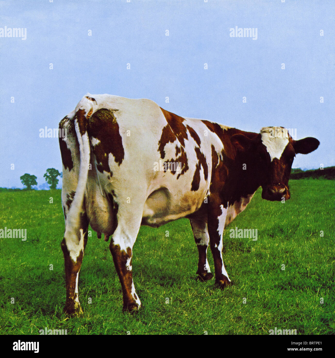 Album cover of Atom Heart Mother by Pink Floyd recorded and released by EMI Records in 1970 Stock Photo