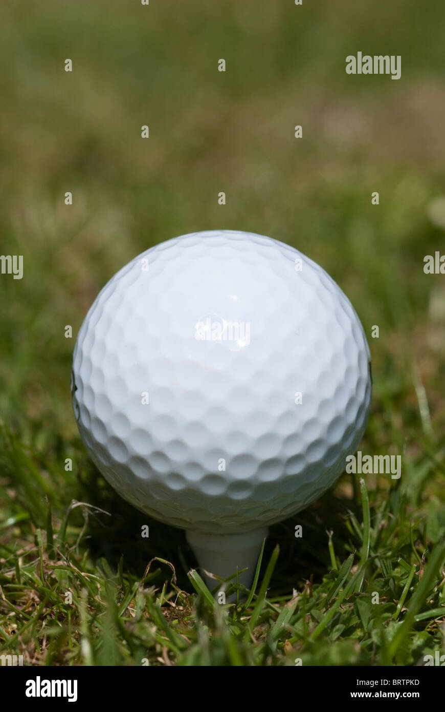 Golf ball on a tee Stock Photo Alamy