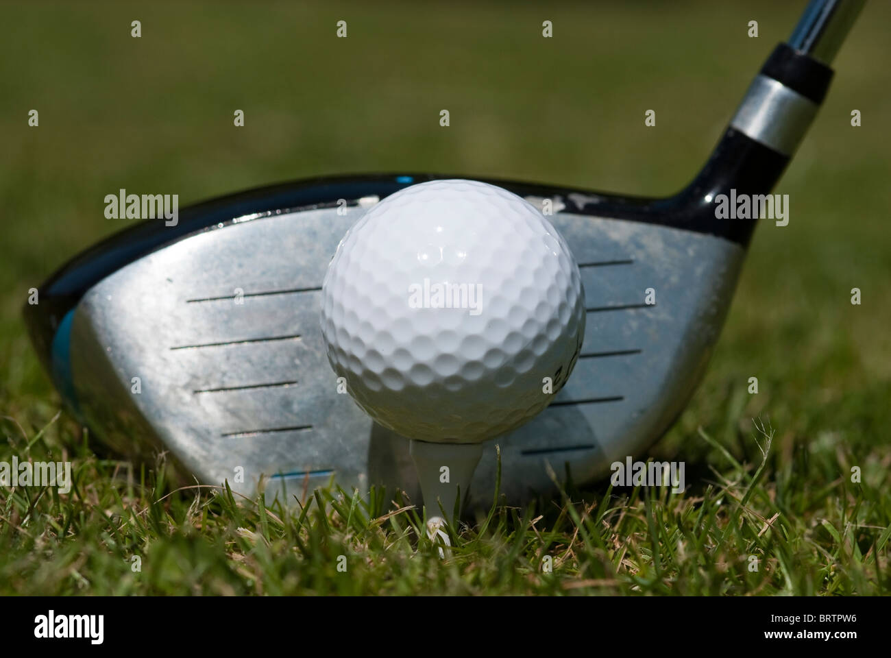 Golf ball tee peg hires stock photography and images Alamy