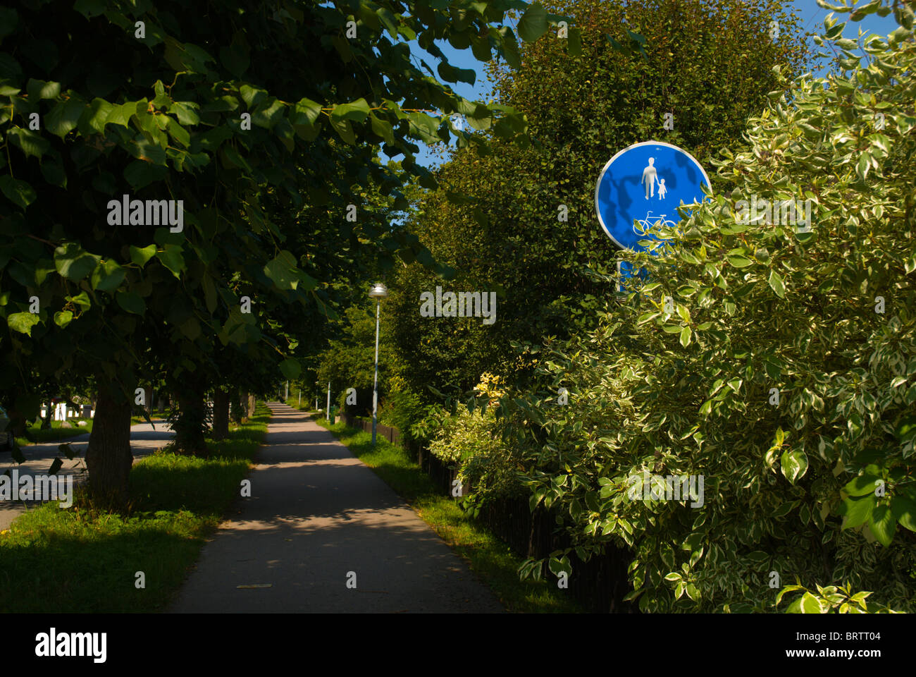 Bicycle and pedestrian path Island of Lidingö outside Stockholm Sweden Europe Stock Photo