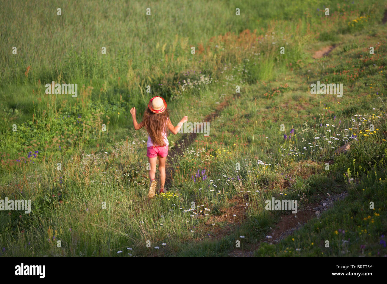 Family mountains rear view hi-res stock photography and images - Alamy