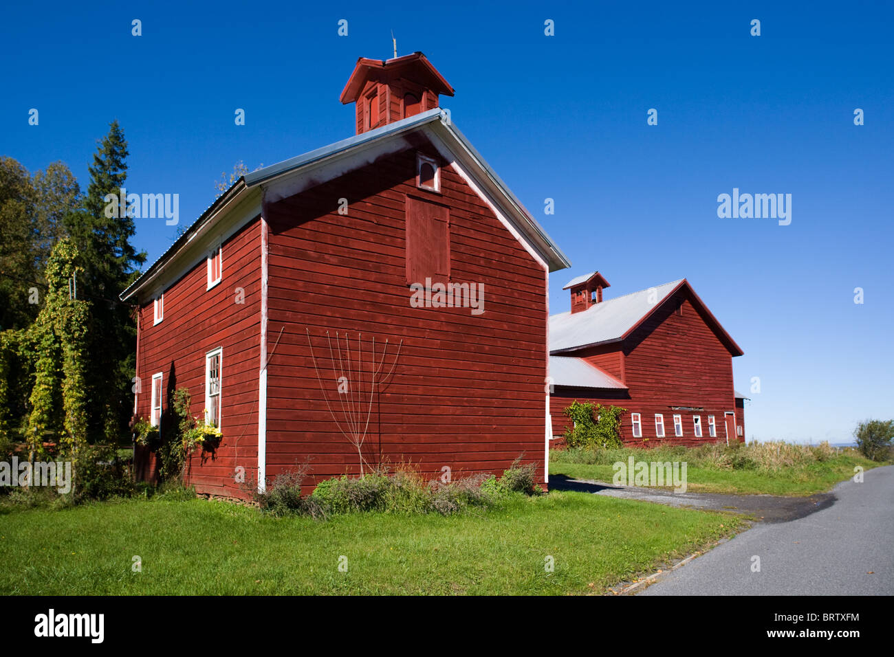 The reddest of red barns, farm country of Mohawk Valley, New York State Stock Photo
