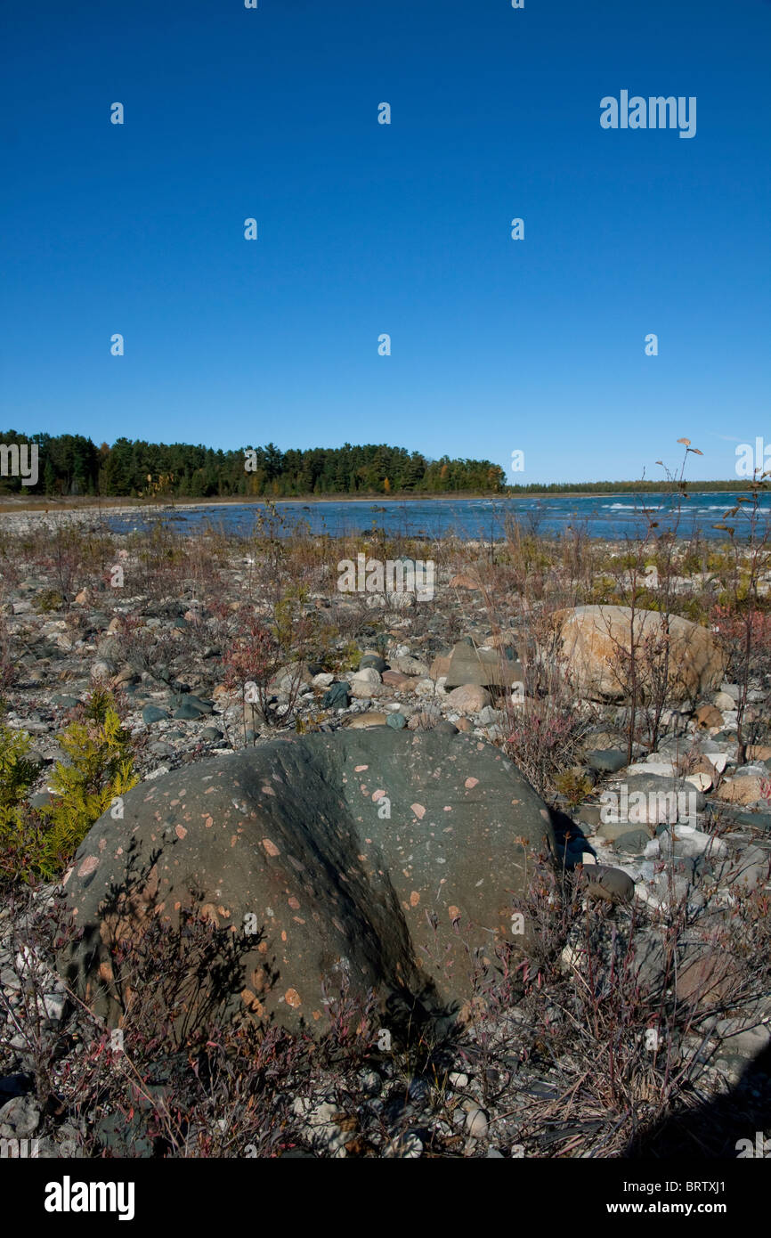 Puddingstone jasper hires stock photography and images Alamy