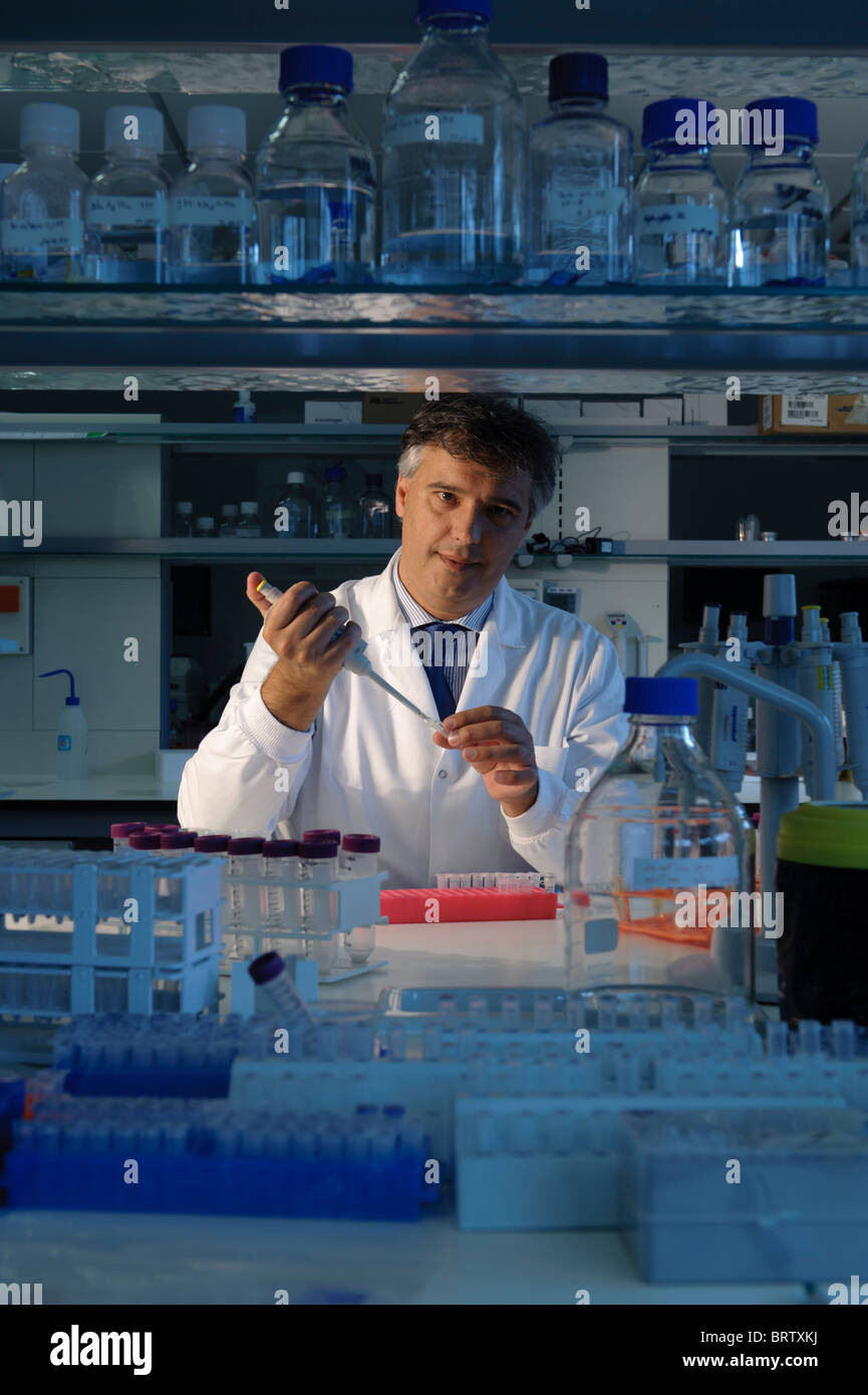 Scientist working in lab Stock Photo Alamy