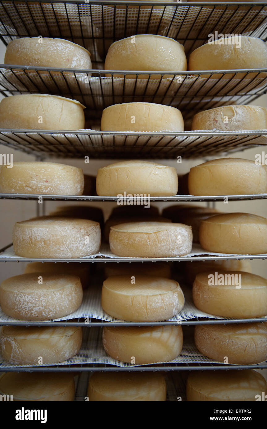 Cheese rack at a factory in Portugal Stock Photo Alamy