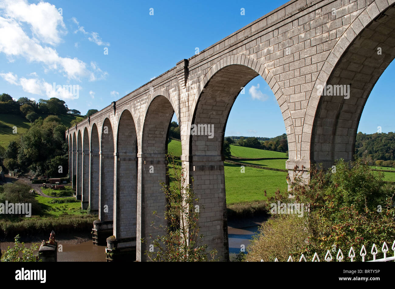 Calstock viaduct, railway crossing the river Tamar connecting Cornwall with Devon Stock Photo