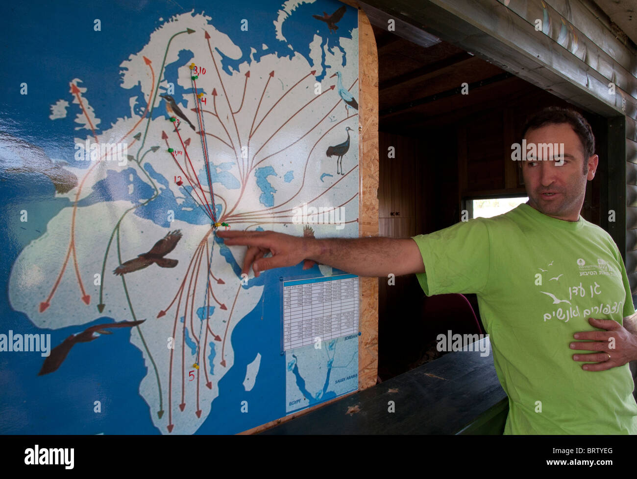 Park staffer pointing at migration map at the ringing station. Agamon Hula park. israel Stock Photo