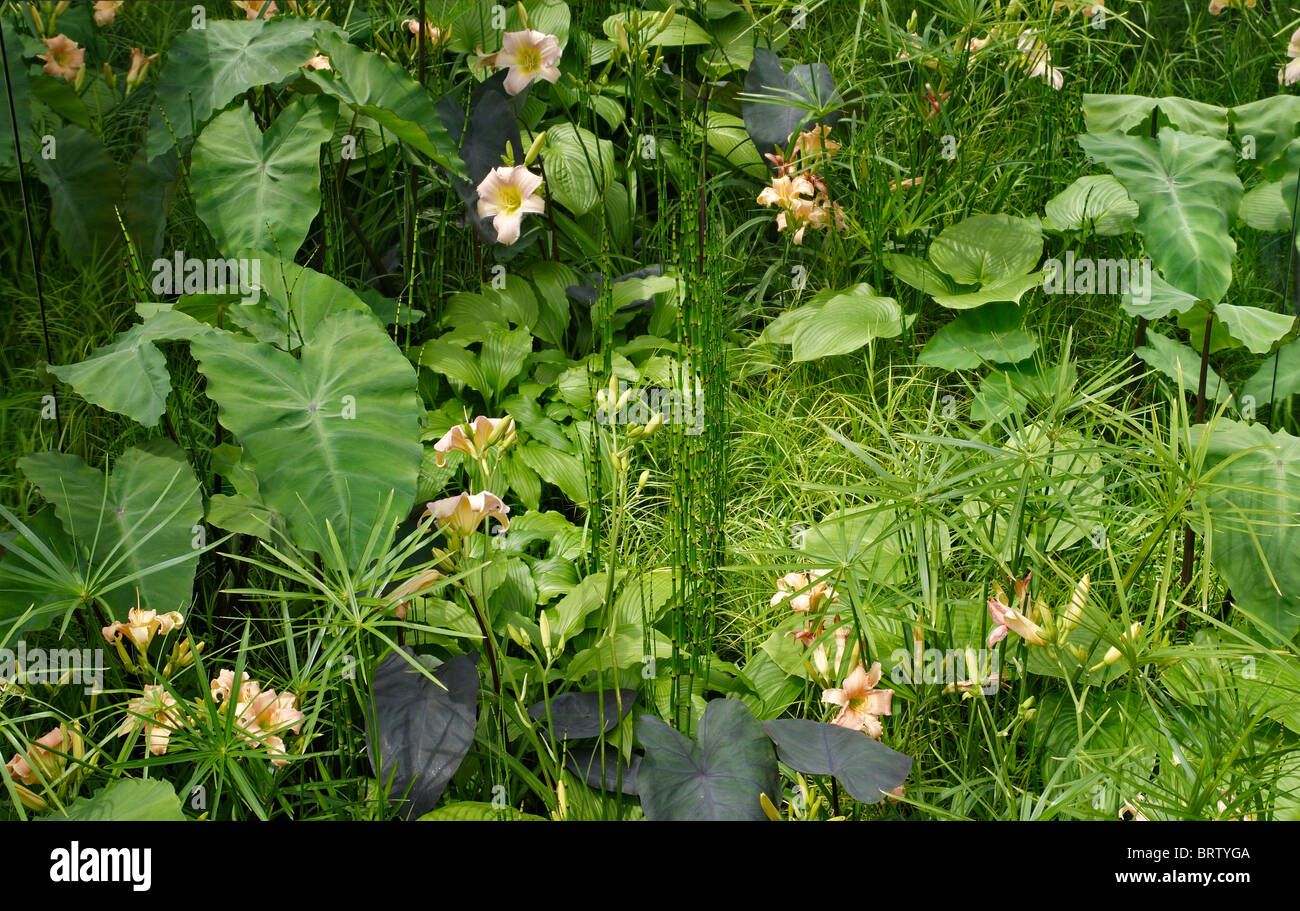 Flowers and plants in a contemporary sunken garden Stock Photo
