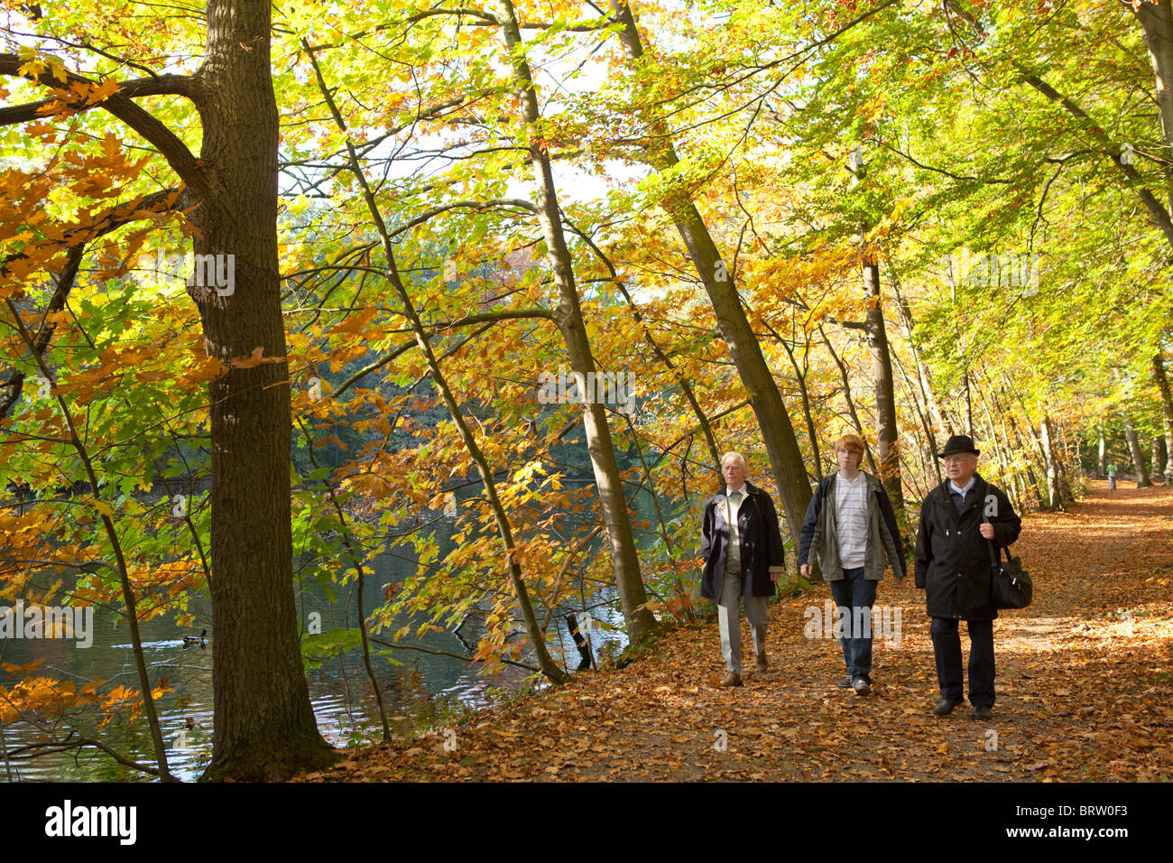 going for a walk in an autumnal forest Stock Photo - Alamy