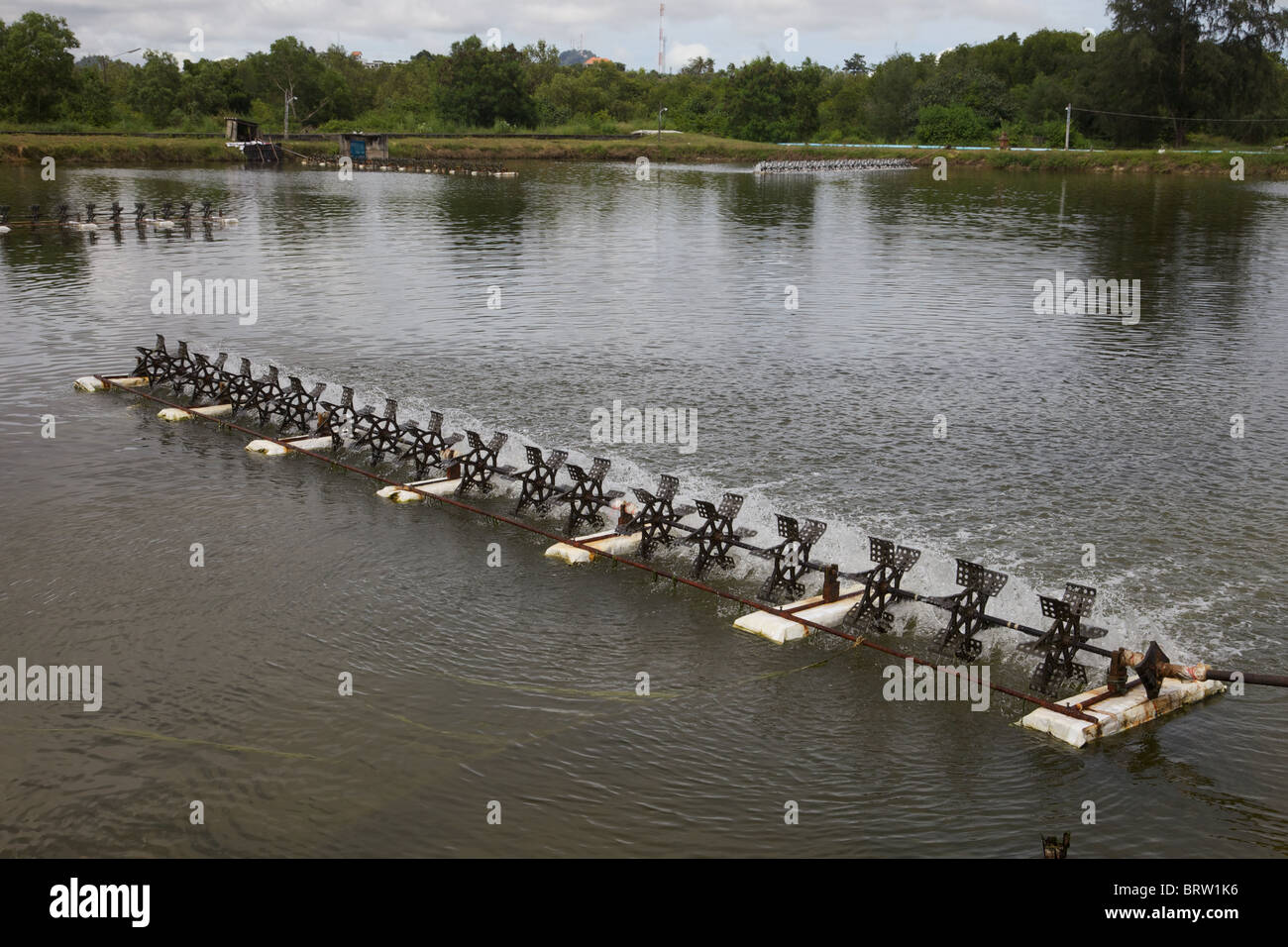A Thai fish farm, the paddles oxygenating the water Stock Photo