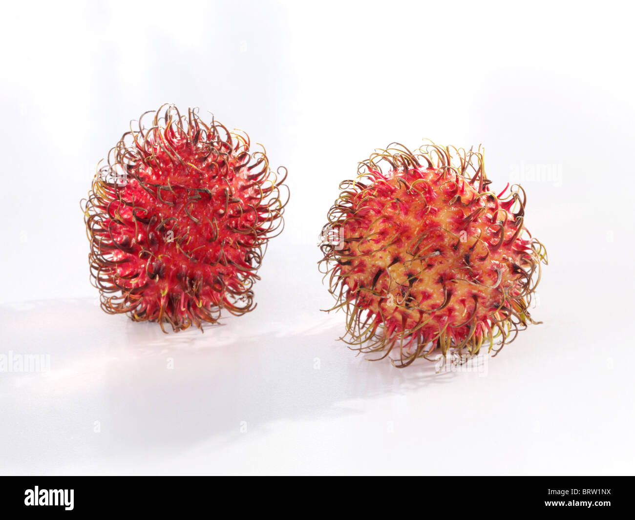 Two rambutan fruits (Nephelium lappaceum) Stock Photo