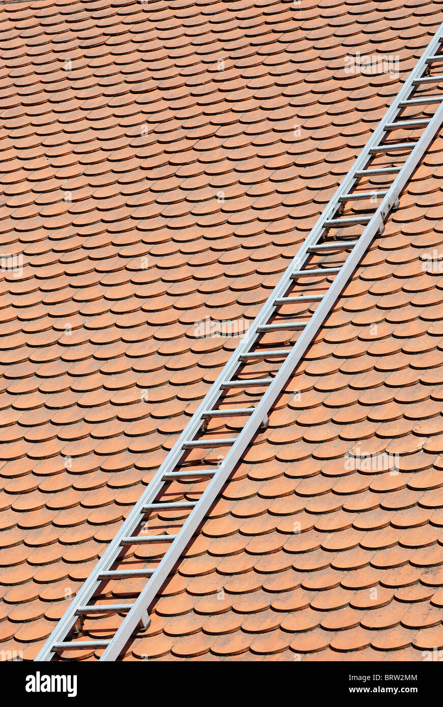 Ladder on a Rooftop Stock Photo