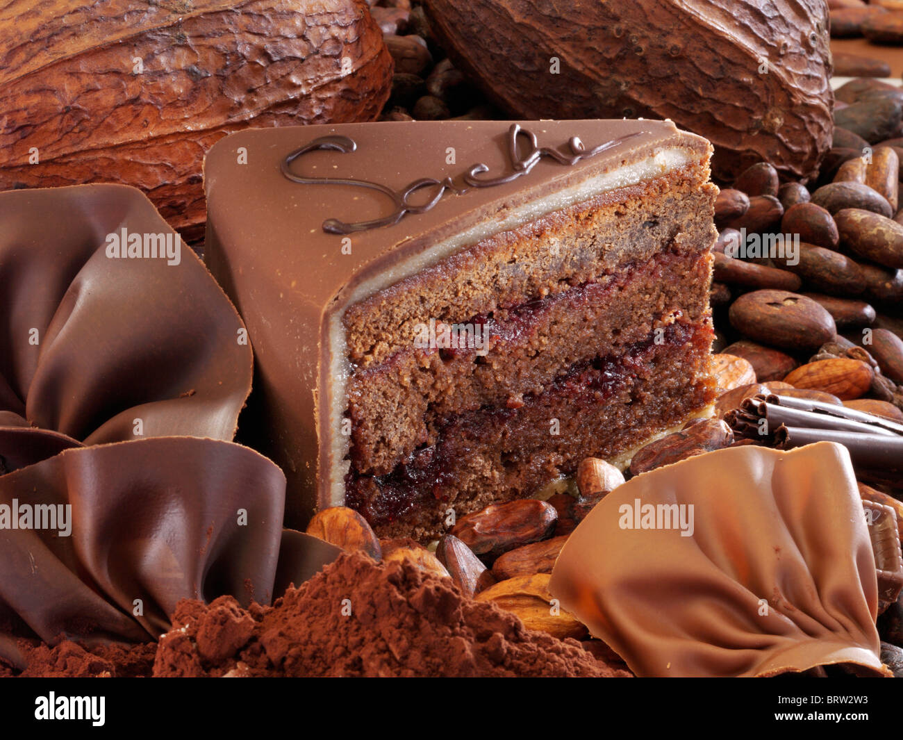 Slice of Sacher cake with chocolate fan, cocoa pods and cocoa beans Stock Photo