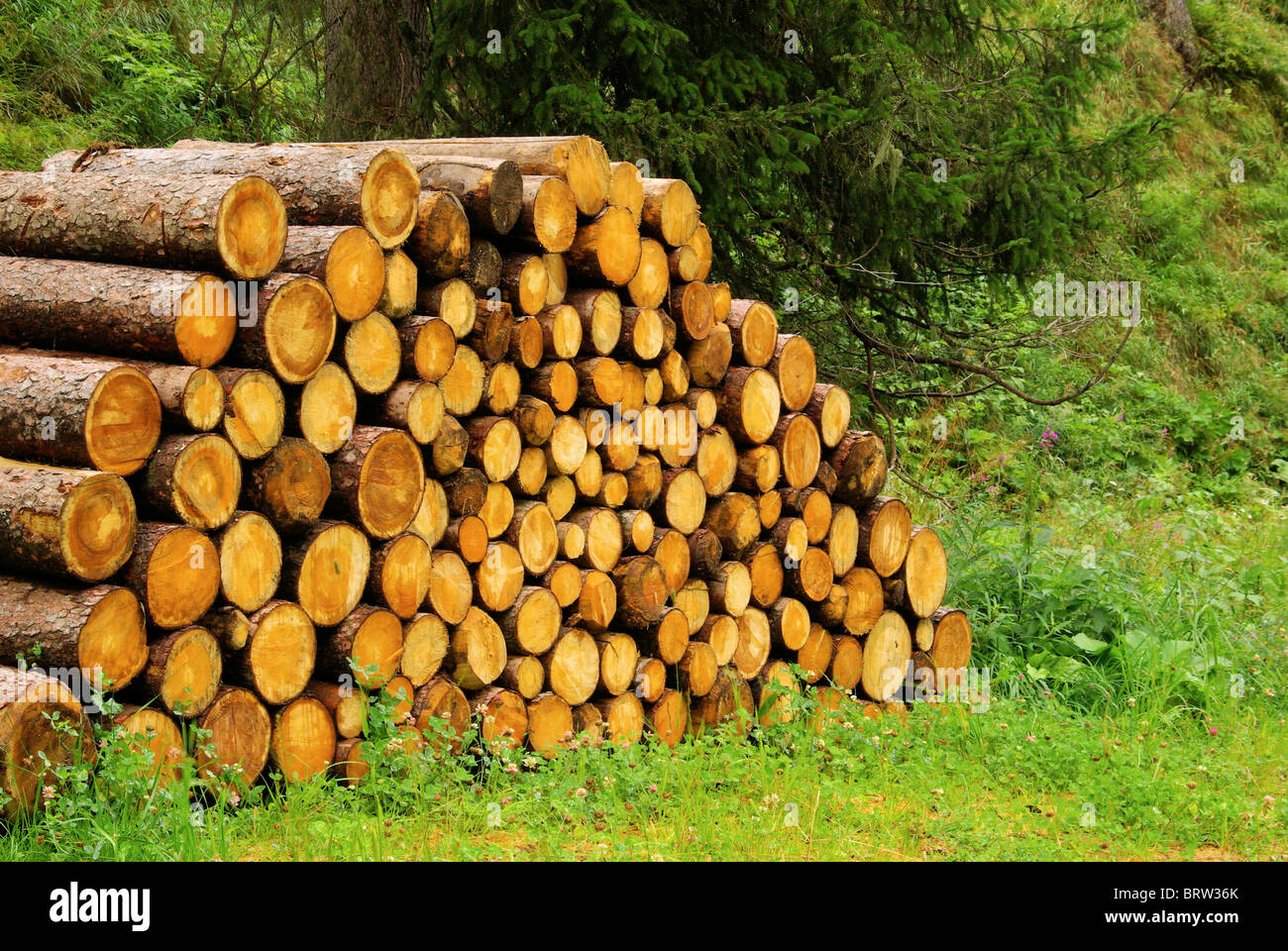 Holzstapel - stack of wood 25 Stock Photo