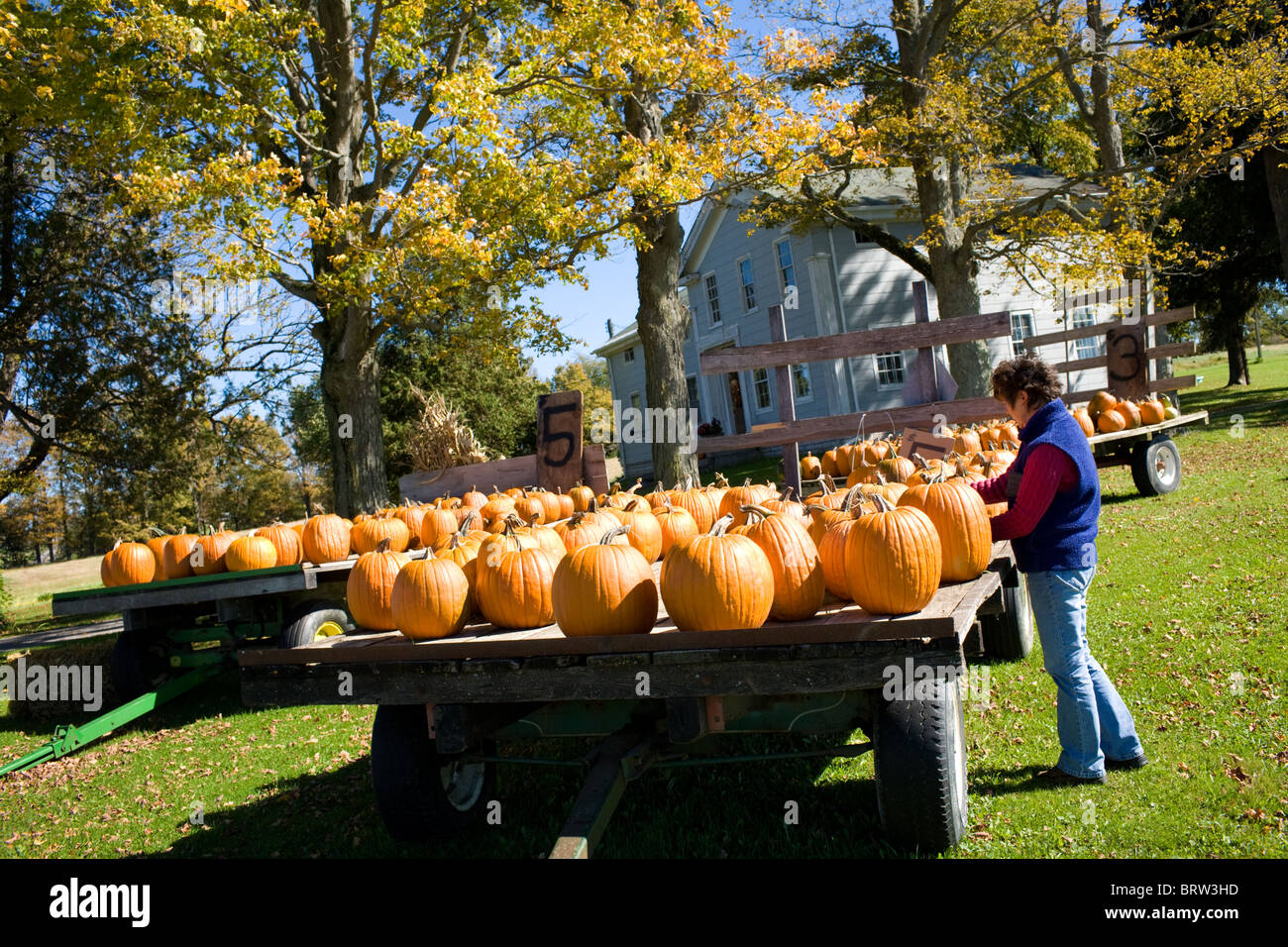 Valley of york hires stock photography and images Alamy