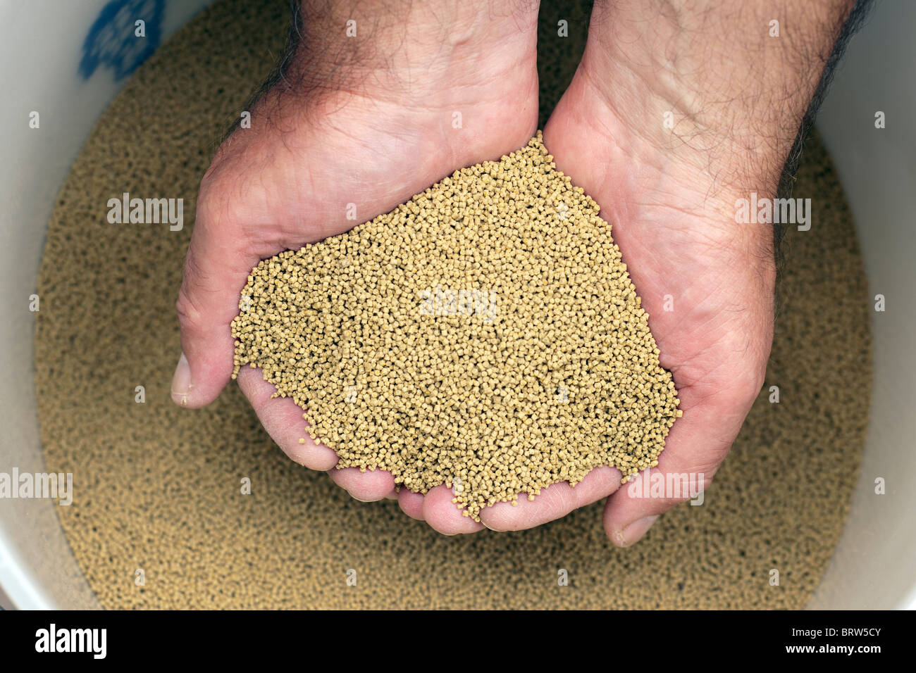Two handfuls of 1mm fishmeal trout pellets Stock Photo Alamy