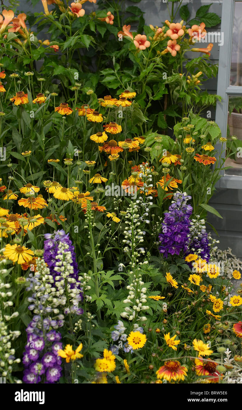 Colourful flowers in an English country garden Stock Photo - Alamy