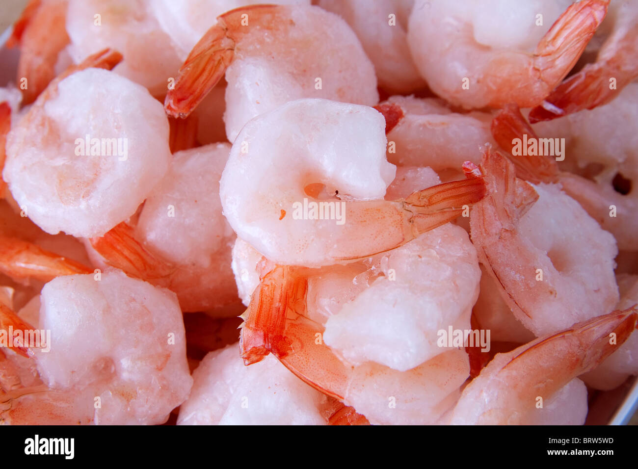 small pile of frozen shrimp closeup with tails Stock Photo