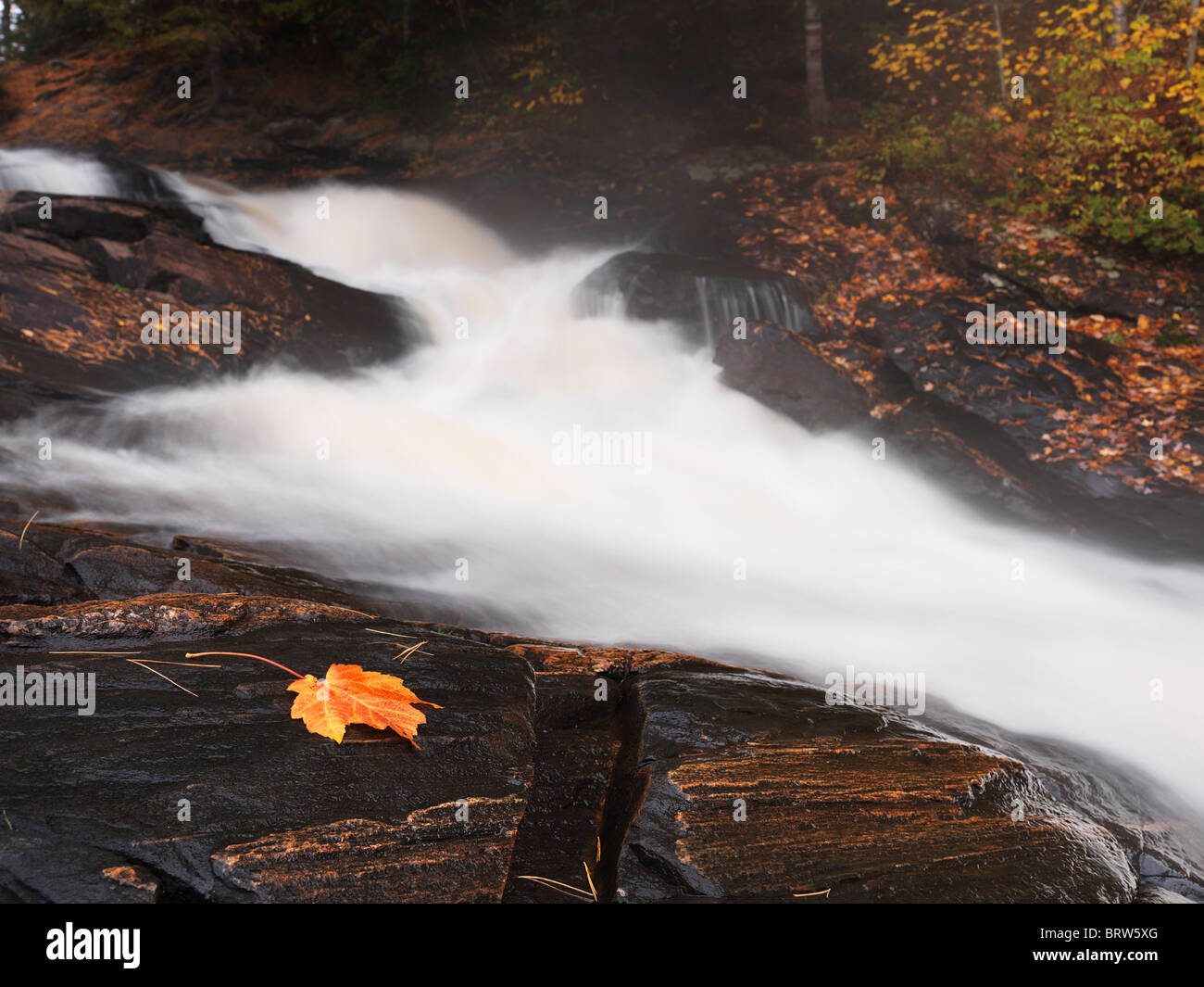 Beautiful cascade waterfall autumn nature scenery. Stubb's Falls, Arrowhead Provincial Park, Ontario, Canada. Stock Photo
