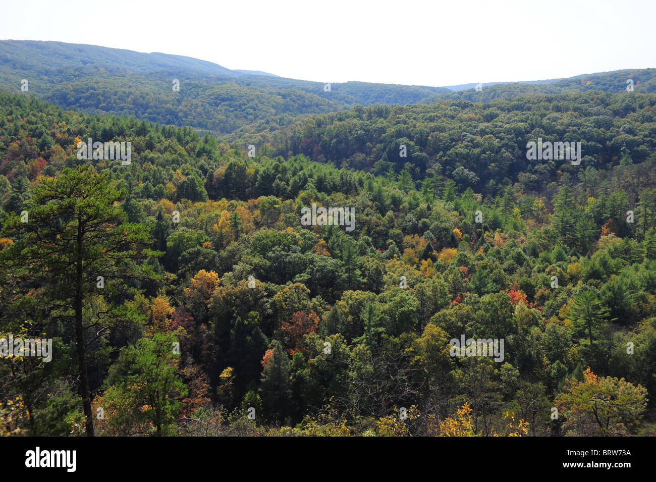 USA Maryland MD Appalachian Mountains Green Ridge State Forest - Western Maryland Stock Photo