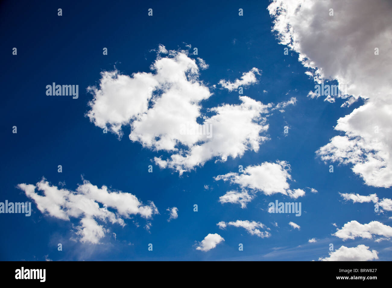 White puffy clouds on a Colorado blue sky day Stock Photo