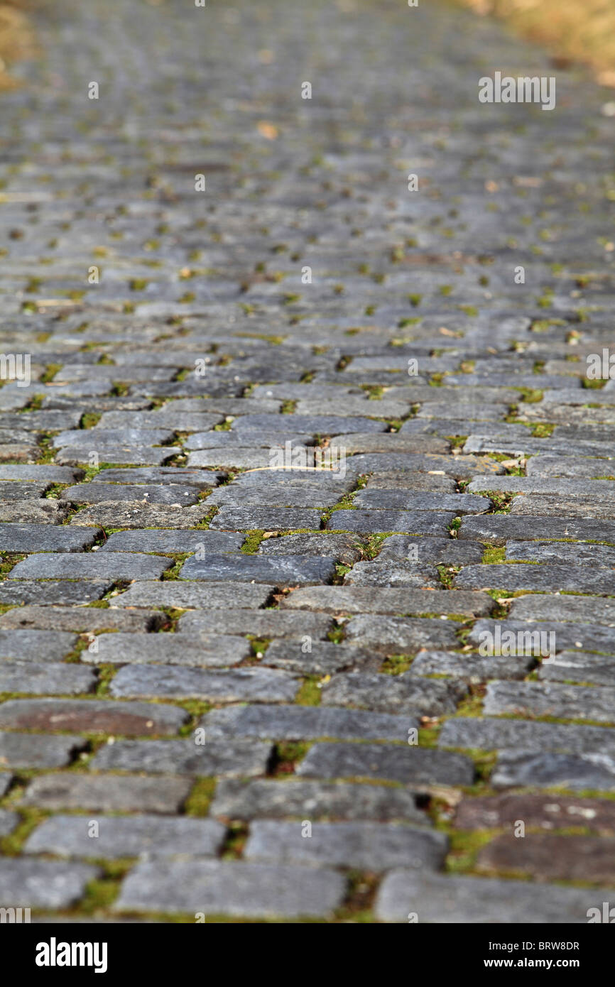 Cobble-stoned pavement Stock Photo
