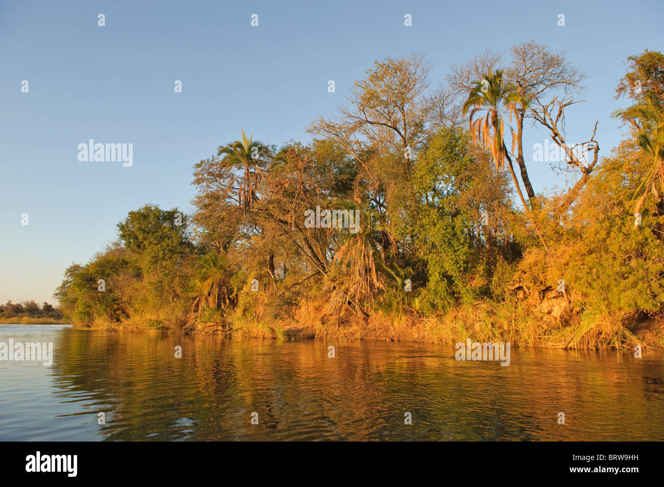 Bank landscape of the Okavango River, Namibia, Africa Stock Photo