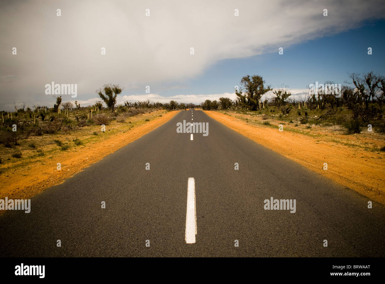 Sealed road in the desert Stock Photo Alamy