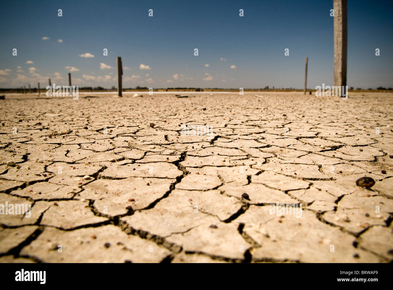 Badly cracked earth under a scorching sun Stock Photo