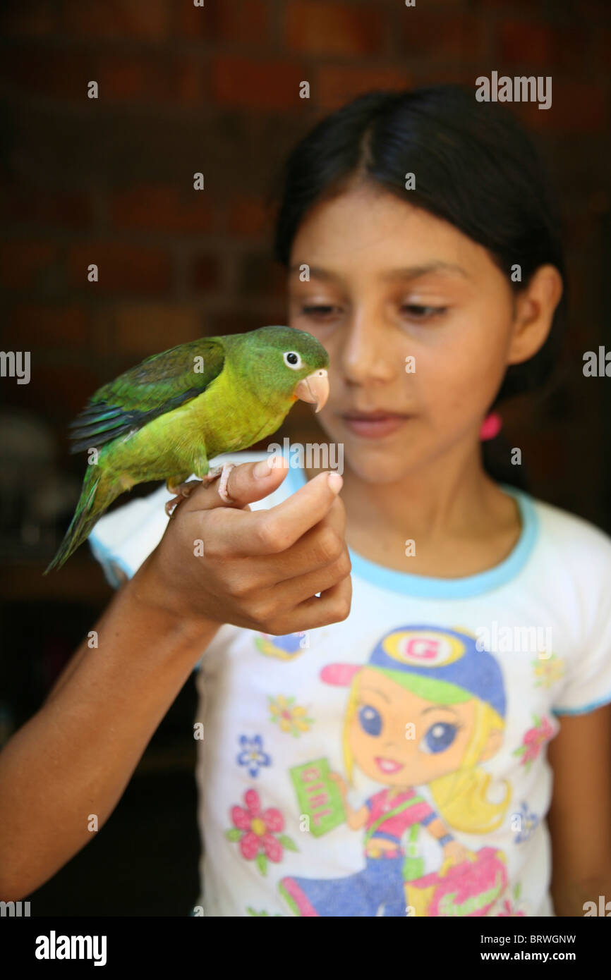 parrot in colombia Stock Photo