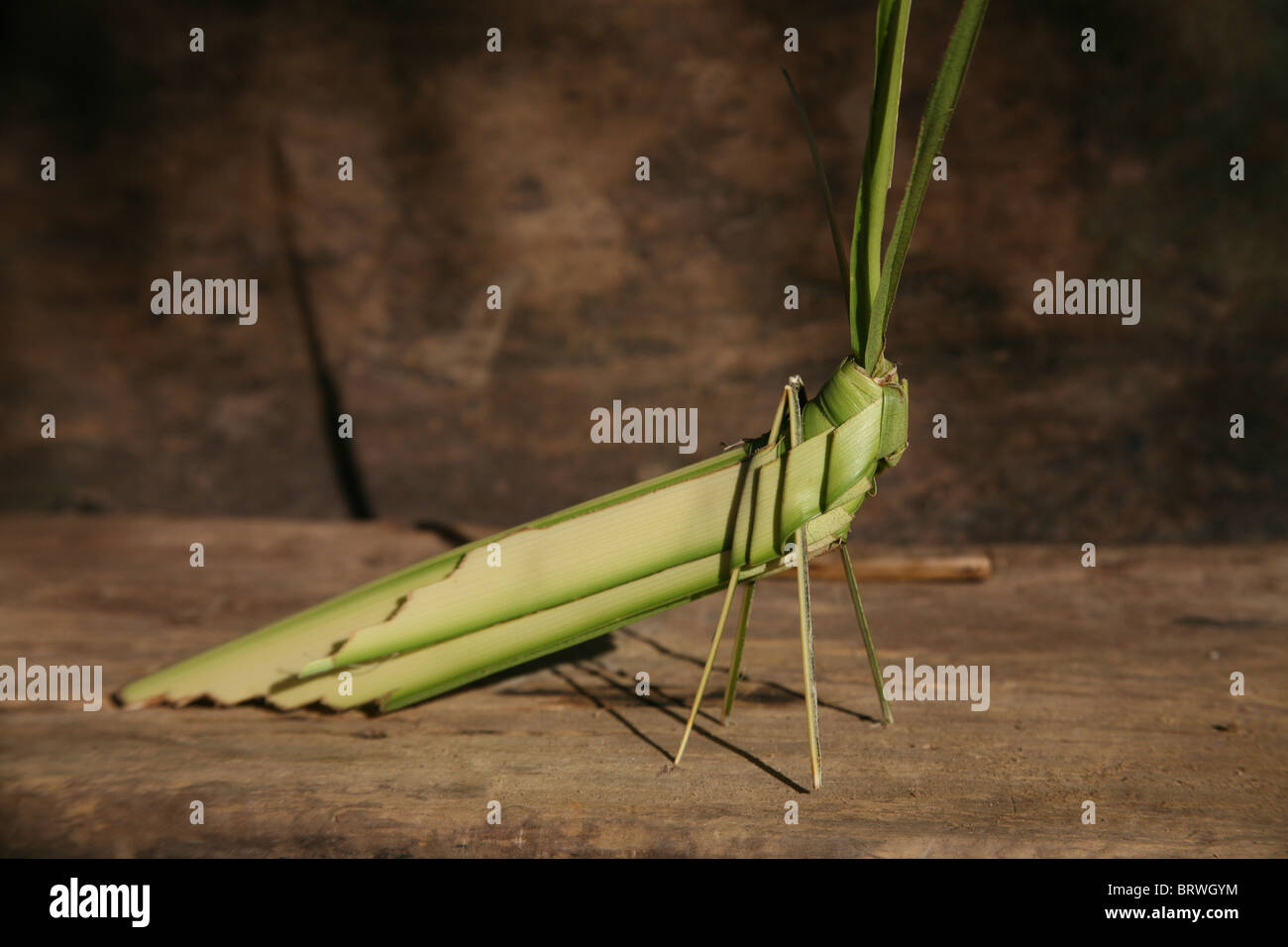 grasshopper made from leaves Stock Photo