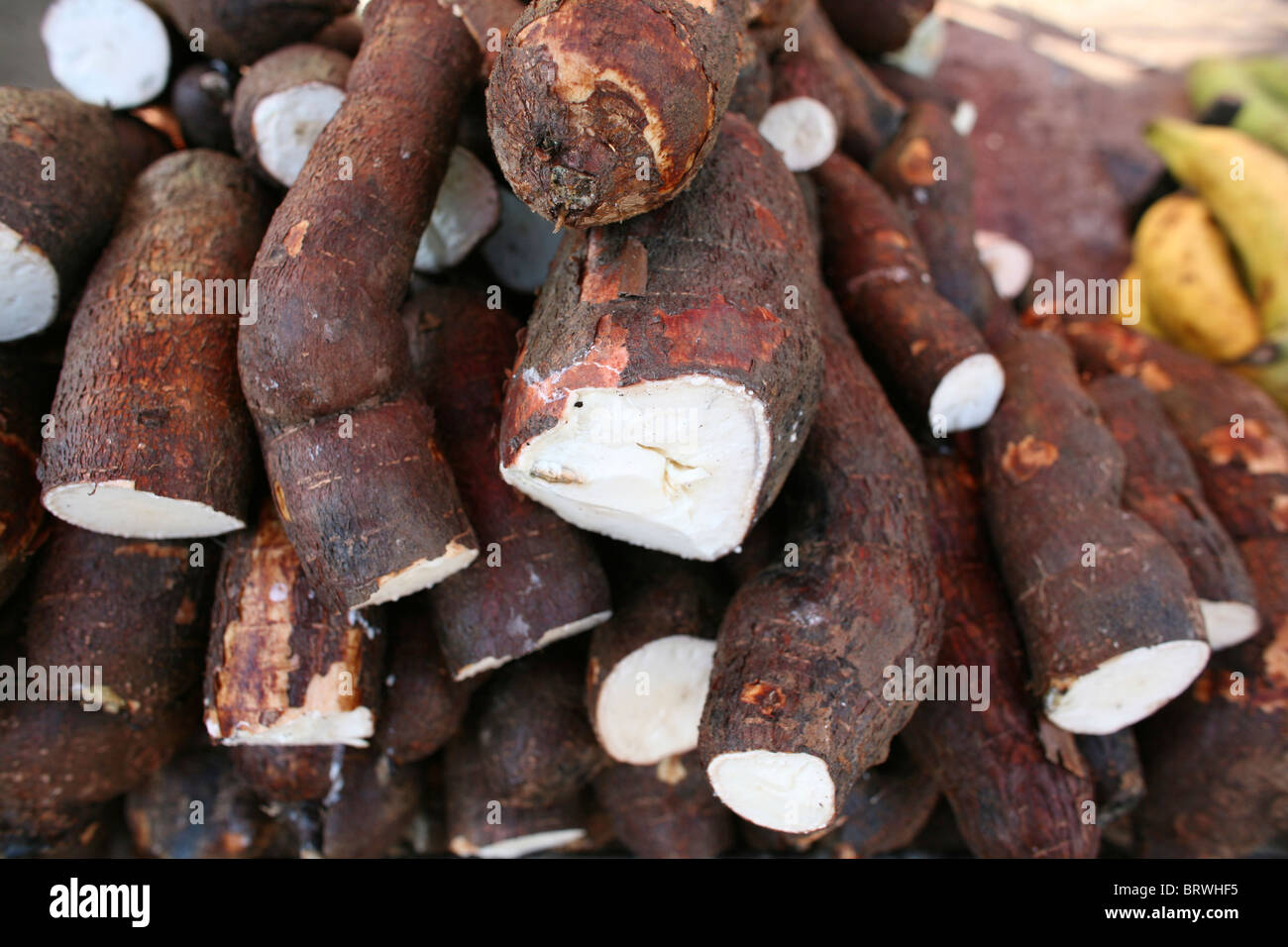 cassava in colombia Stock Photo