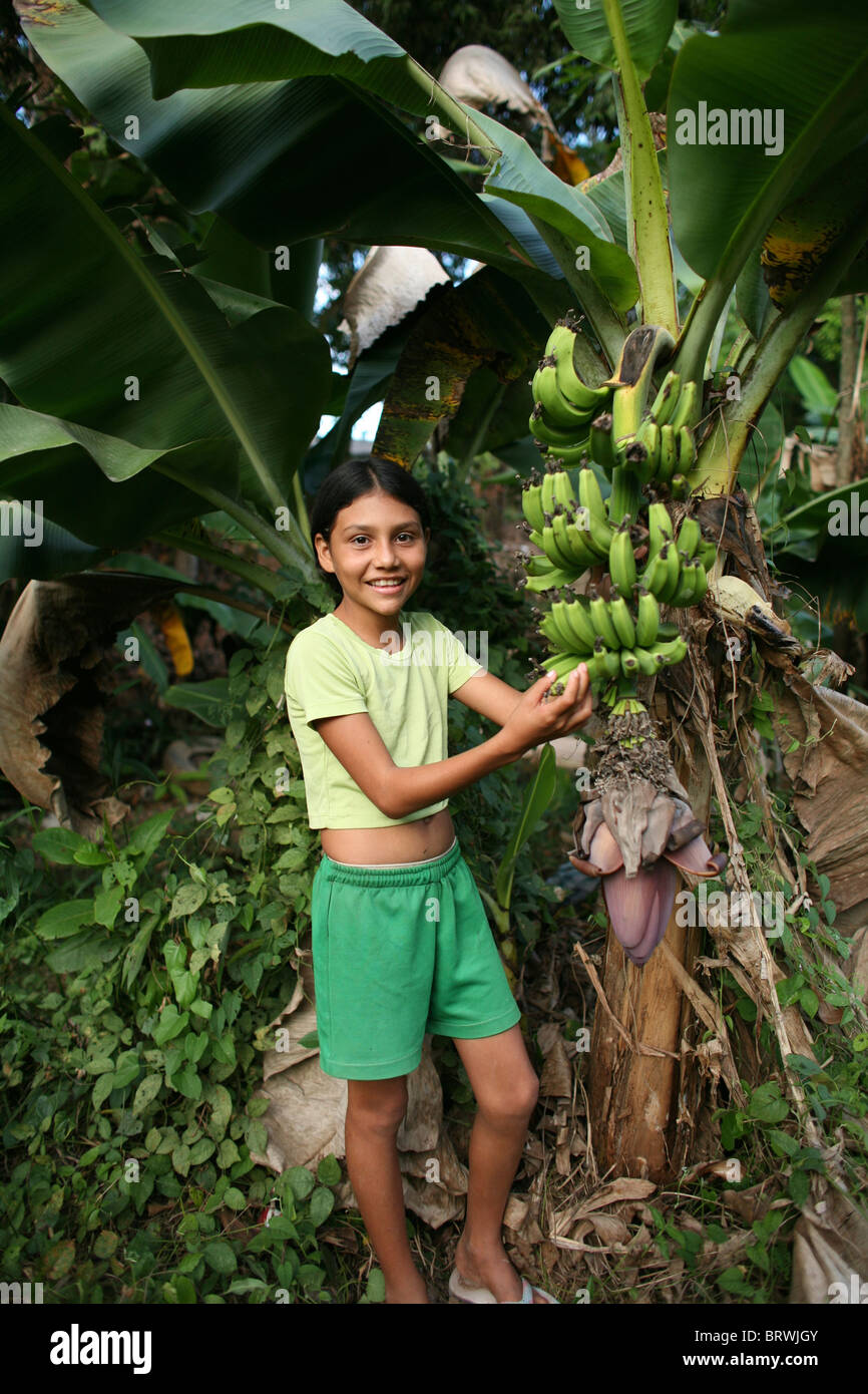 banana’s in Colombia Stock Photo - Alamy
