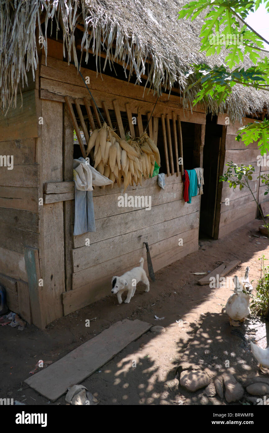 BOLIVIA ECOTOPS projects in Alto Beni. Details of a farmhouse in Remolinos. photograph by Sean Sprague Stock Photo