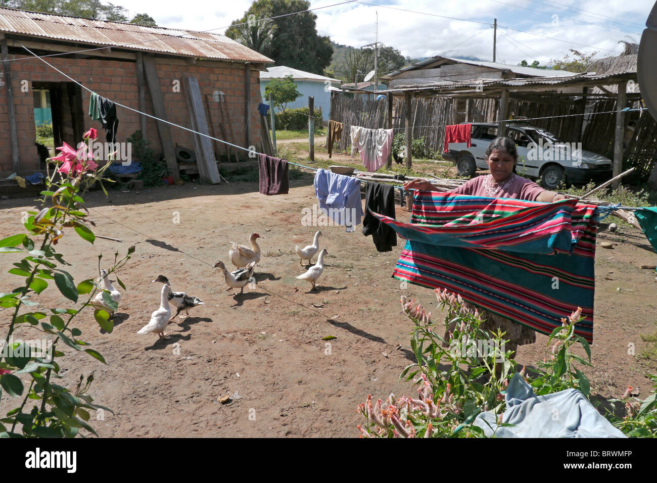 BOLIVIA ECOTOPS projects in Alto Beni. Details of a farmhouse in Remolinos. photograph by Sean Sprague Stock Photo