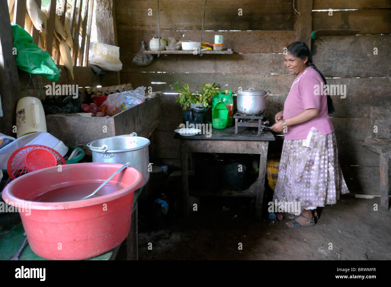 BOLIVIA ECOTOPS projects in Alto Beni. Details of a farmhouse in Remolinos. photograph by Sean Sprague Stock Photo