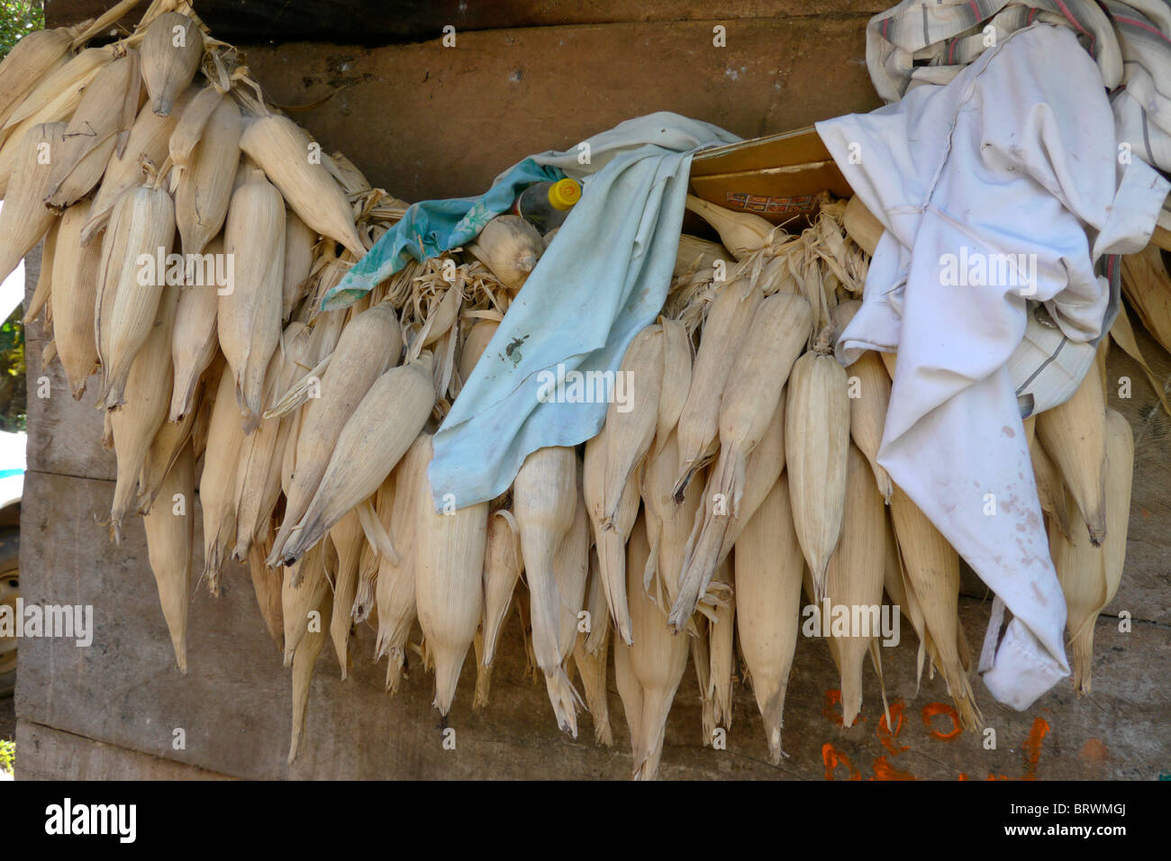 BOLIVIA ECOTOPS projects in Alto Beni. Details of a farmhouse in Remolinos. photograph by Sean Sprague Stock Photo