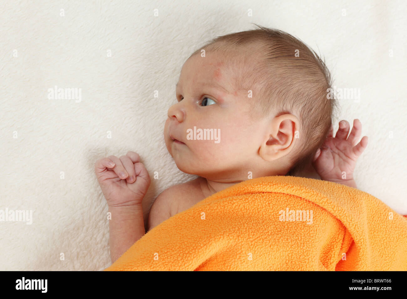 Portrait of newborn baby girl Stock Photo