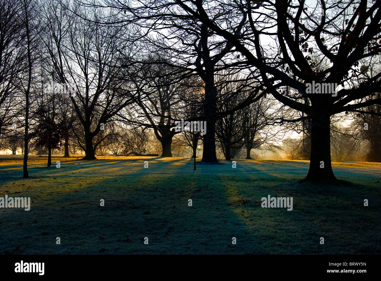 Sun Rising Behind Trees Stock Photo Alamy Sun Rising Behind Trees Stock Photo Alamy