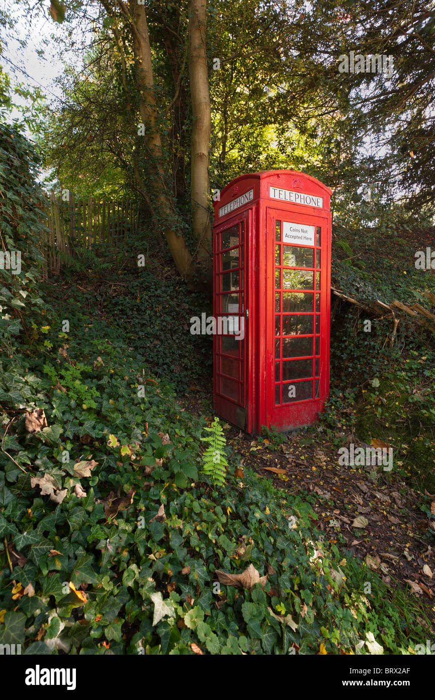 Old red telephone box in sad state of repair and neglect hidden amongst overgrown vegetation redundant technology Stock Photo
