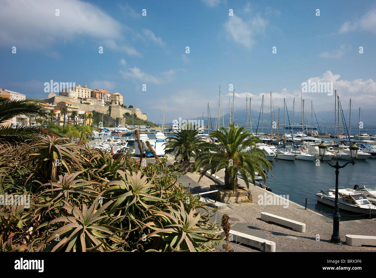 General view of yachts in the Calvi Marina, with the citadel in distance. Stock Photo
