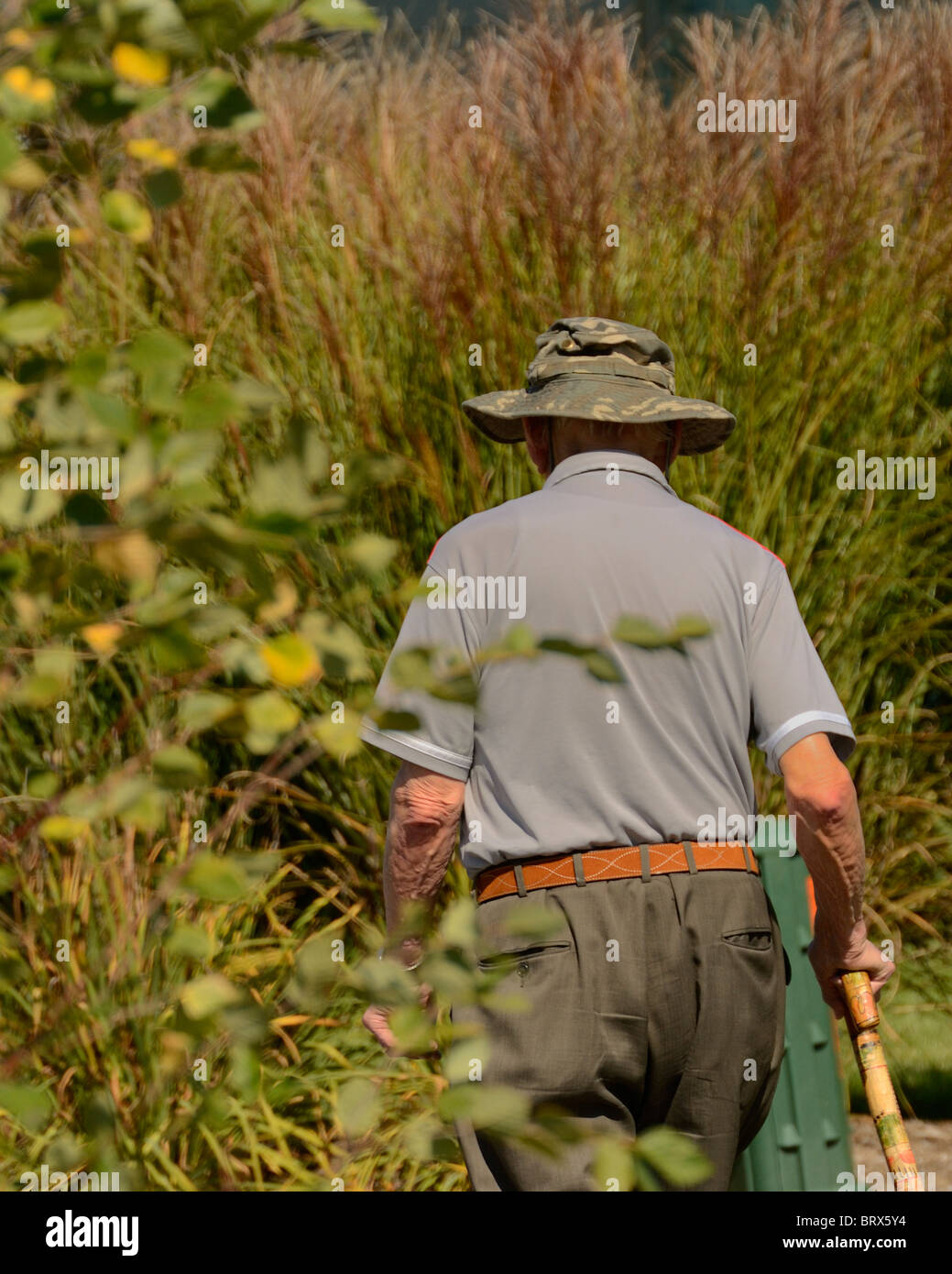 Old Man hiking on trail back view Stock Photo - Alamy